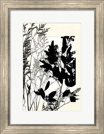Framed Sm Translucent Wildflowers X Print