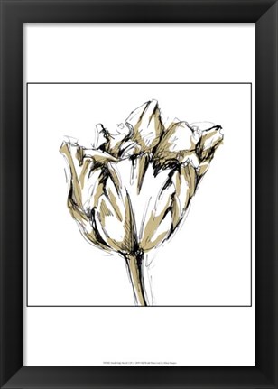 Framed Small Tulip Sketch I Print