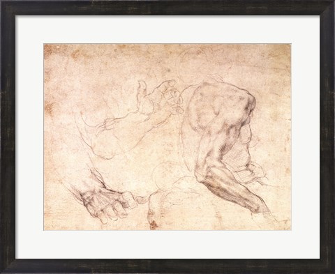 Framed Studies of hands and an arm Print