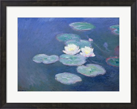 Framed Waterlilies, Evening Print
