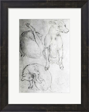 Framed Study of a dog and a cat Print