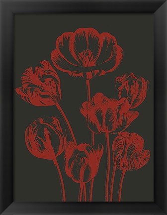 Framed Tulip 10 Print