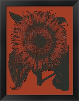 Framed Sunflower 9 Print