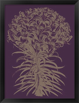 Framed Lilies 13 Print