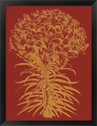 Framed Lilies 16 Print
