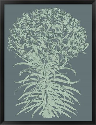 Framed Lilies 7 Print