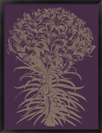 Framed Lilies 13 Print