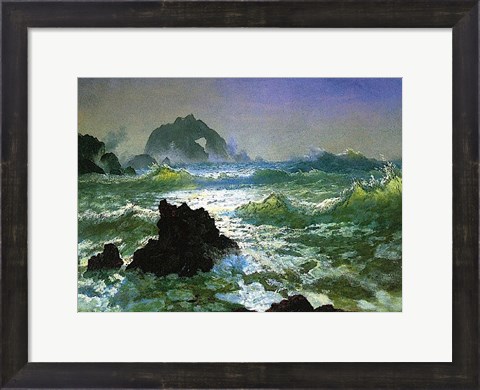 Framed Seal Rock Print