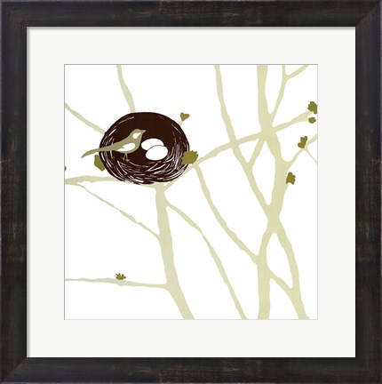 Framed Feathers and Twigs Print