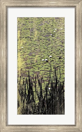 Framed Lily Pond I Print