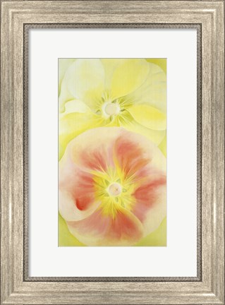 Framed Pink and Yellow Hollyhocks, 1952 Print
