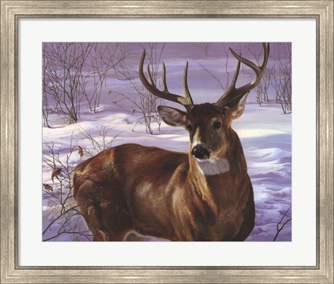 Framed Through My Window- Whitetail Deer Print