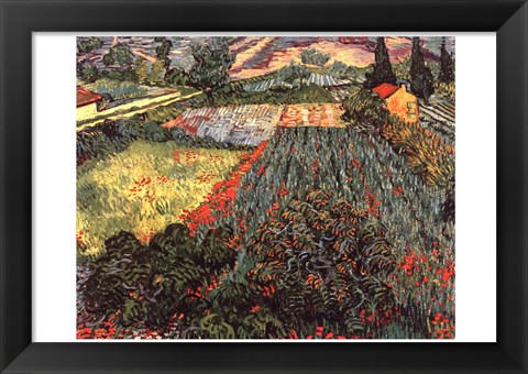 Framed Field of Poppies, Saint-Remy, c. 1889 Print