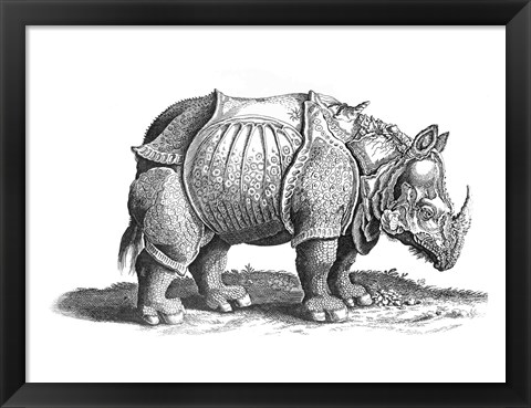 Framed Rhinoceros Print