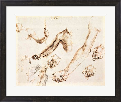 Framed Study of male hands and arms Print