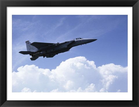 Framed U.S. Air Force F-15 Print