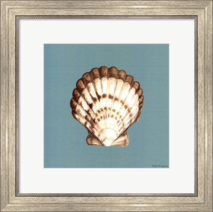 Framed Shell on Aqua III Print