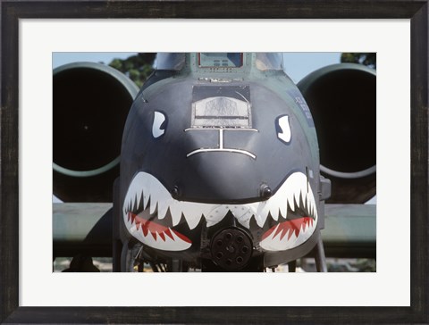 Framed Flying Tigers II Print