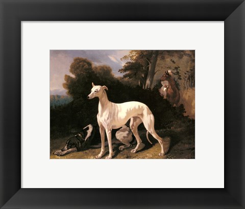 Framed Alfred Dedreux - A Greyhound In An Extensive Landscape Print
