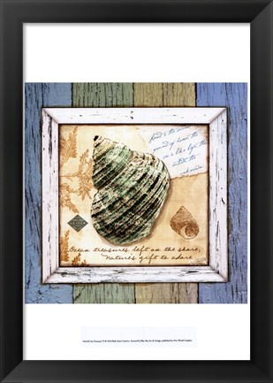 Framed Sea Treasures VI Print