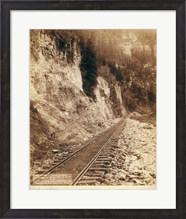 Framed Grand Canyon Elk Canyon on Black Hills Print