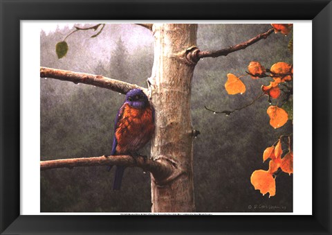 Framed Bluebird Rain Print