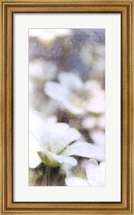 Framed Looking Glass I Print