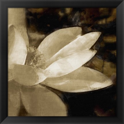 Framed Bronze Lily IV Print