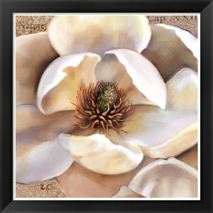 Framed Magnolia Masterpiece II Print