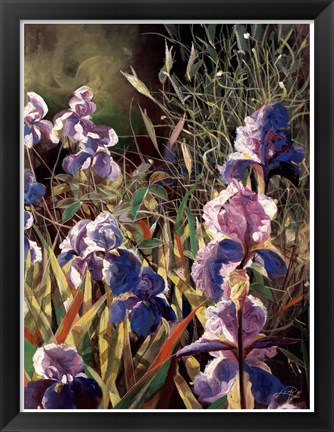 Framed Iris Garden II Print