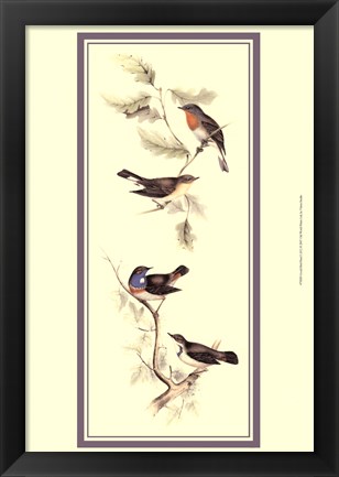 Framed Gould Bird Panel I Print
