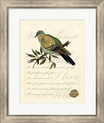 Framed Romantic Dove I Print