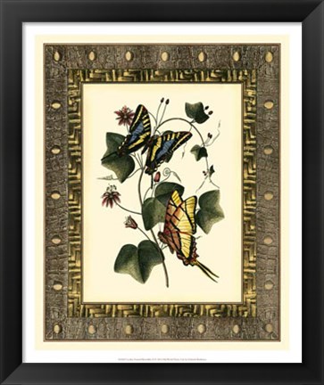 Framed Leather Framed Butterflies II Print