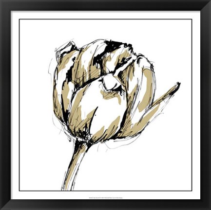 Framed Tulip Sketch II Print