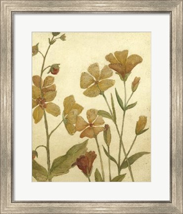 Framed Wildflower Field I Print