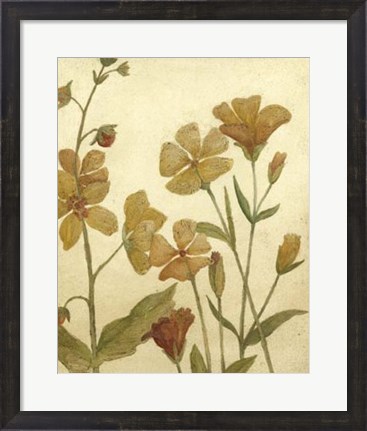 Framed Wildflower Field I Print