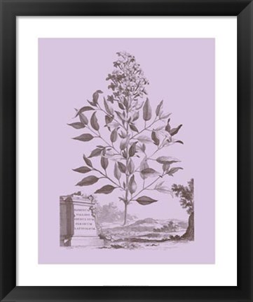 Framed Romantic Jasmine Print