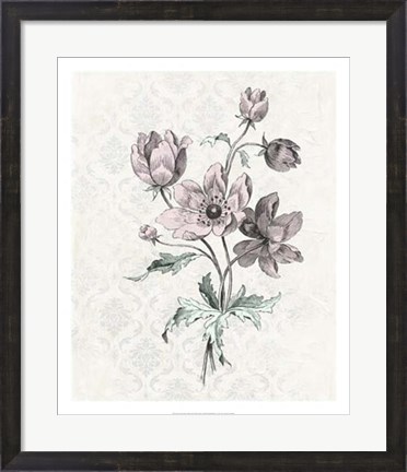Framed Victorian Blooms II Print