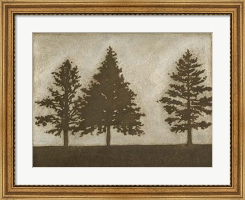 Framed Silver Pine II Print