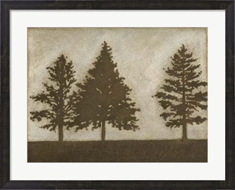 Framed Silver Pine II Print