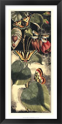 Framed Nature&#39;s Delight II Print