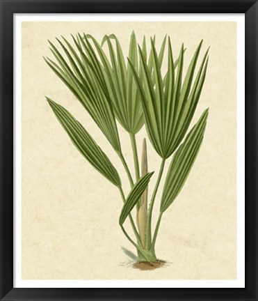 Framed Bourbon Palm Print