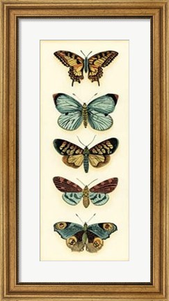 Framed Butterfly Collector VI Print