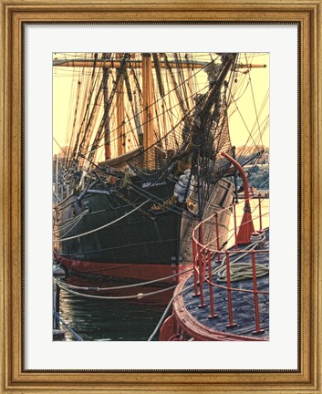 Framed Tall Ships in Darling Harbour Print