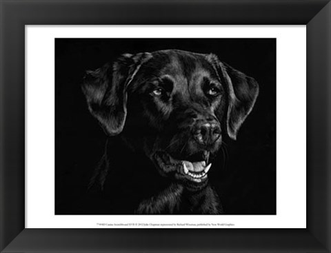 Framed Canine Scratchboard XVII Print
