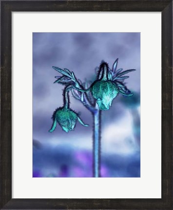 Framed Love Flowers I Print