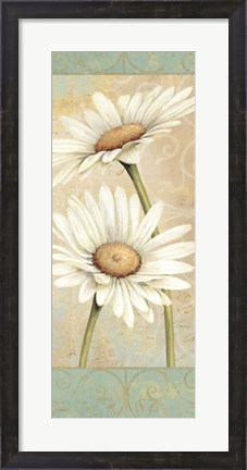 Framed Beautiful Daisies II Print