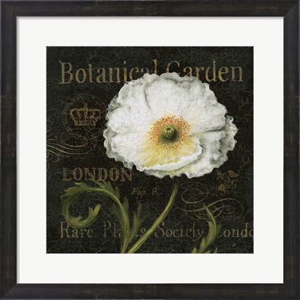 Framed Botanical Garden II Print