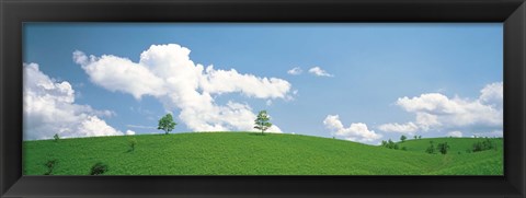 Framed Grassland with blue sky and clouds Print