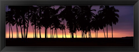 Framed Silhouette of palm trees on the beach, Puuhonua o Honaunau National Historical Park, Big Island, Hawaii, USA Print